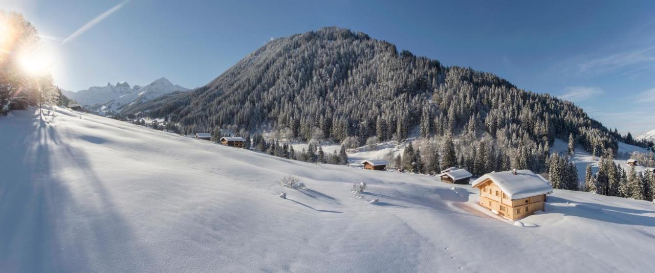 Chalet Berghaus Gauertal Шрунс Экстерьер фото